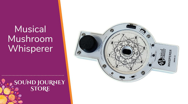 Musical Mushroom Whisper