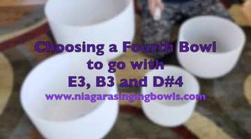 Edward : Adding a 4th Bowl to a Set