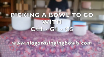 Virginia : Adding a 4th Bowl to a Set