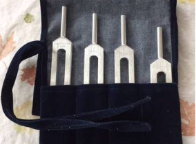 Professional Biosonics Tuning Forks for Sale Online | Canada