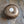 Bowl 834: 6.25