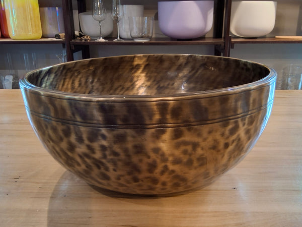 Bowl 739: 14.5" Tiger Finish Himalayan Singing Bowl 108 HZ A2-32
