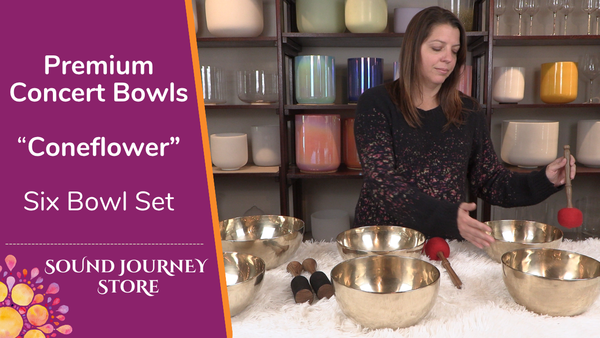 Premium Concert Bowls "Coneflower" Six Bowl Set