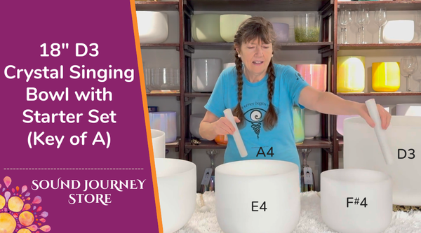 Starter Set on A With Low D3 - D3 A3 D4 E4 F#4 A4