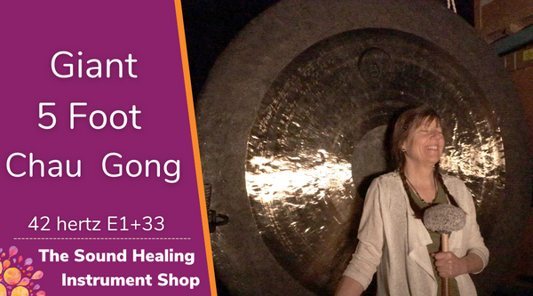 Gong instrument price deals