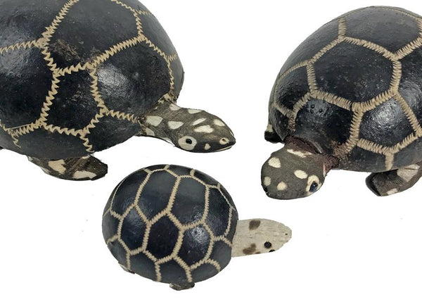 Turtle Family of Shakers